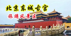 日本大棒影院中国北京-东城古宫旅游风景区